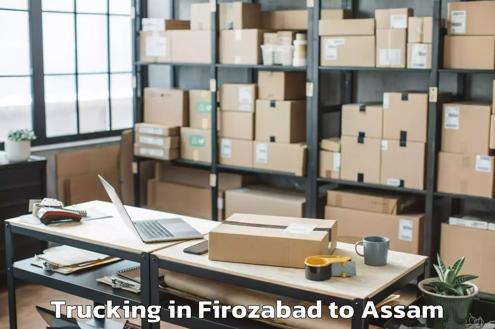 Professional Firozabad to Sissiborgaon Trucking